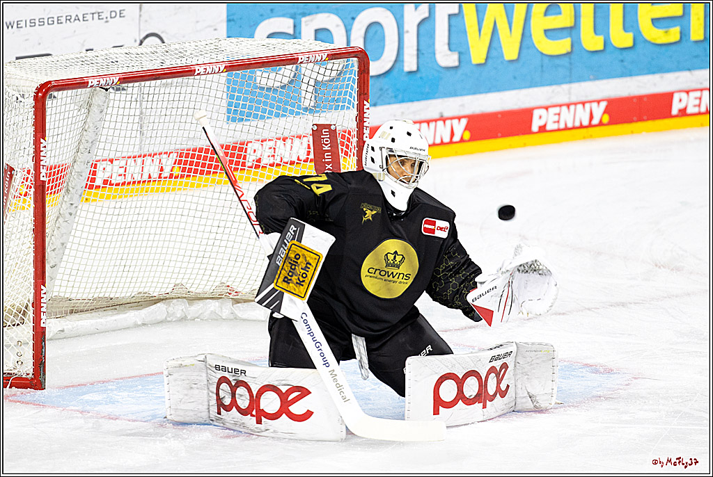 PENNY DEL;  Kölner Haie - ERC Ingolstadt; Köln, 25.11.2022